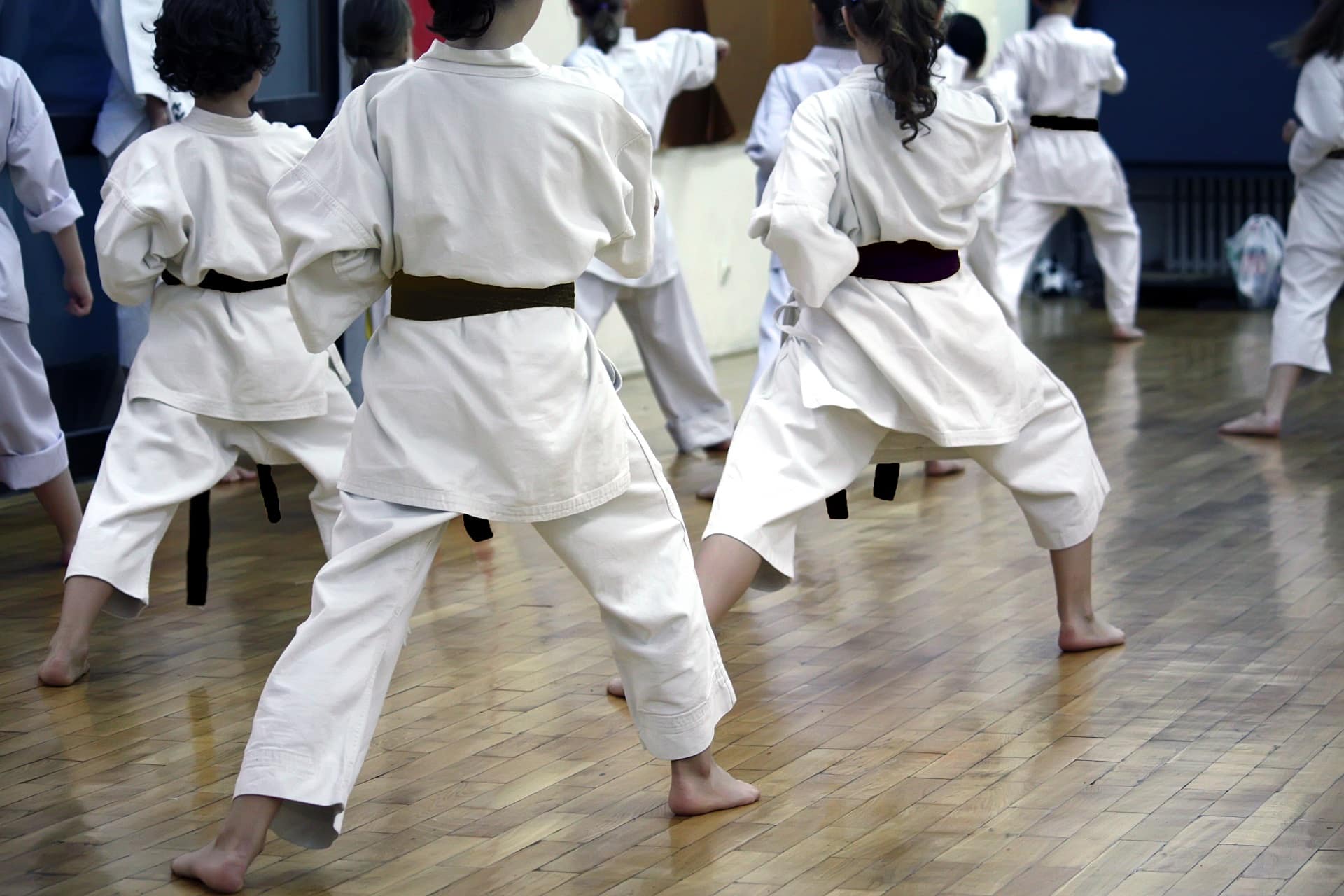 earley karate lesson