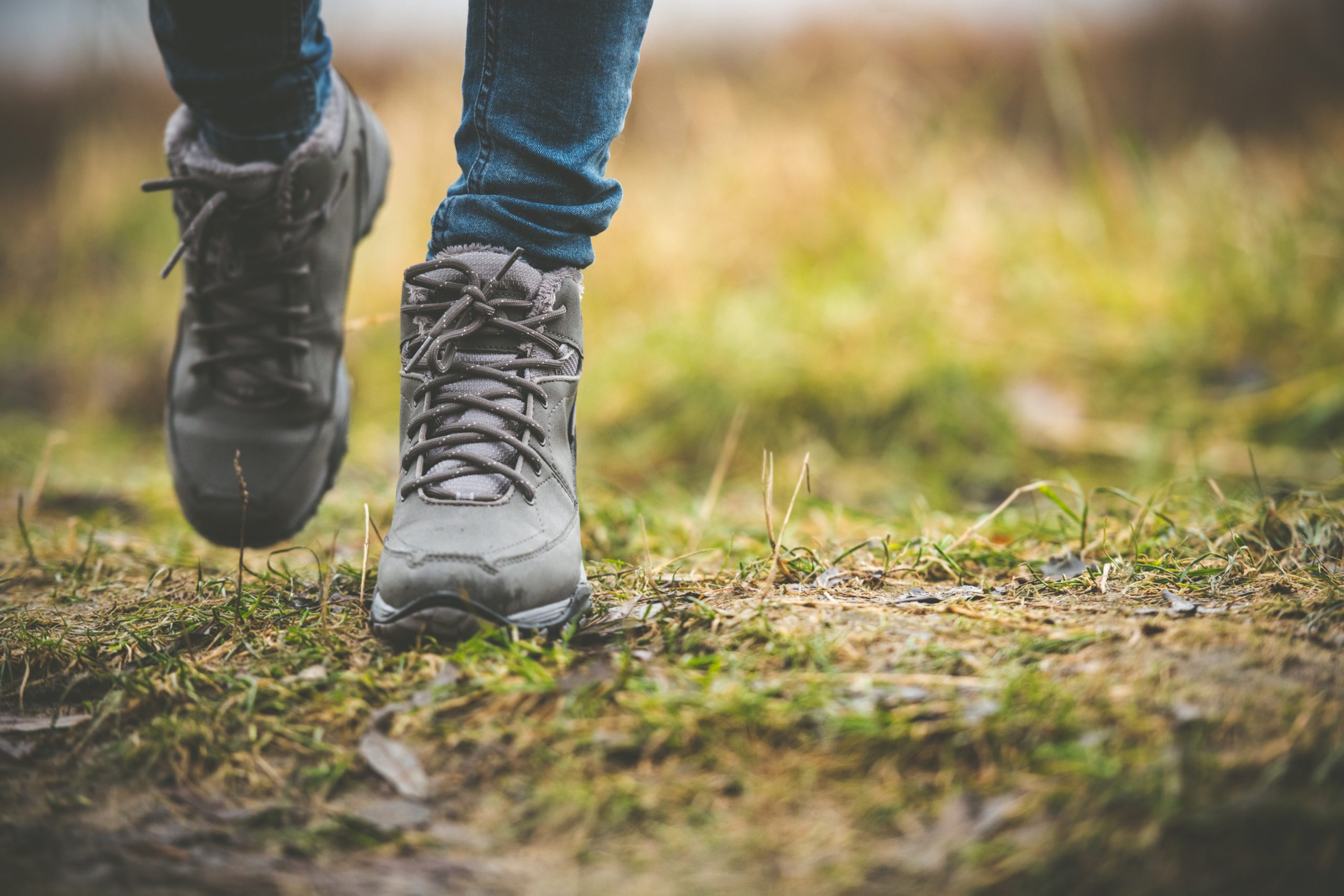 hiking in a forest