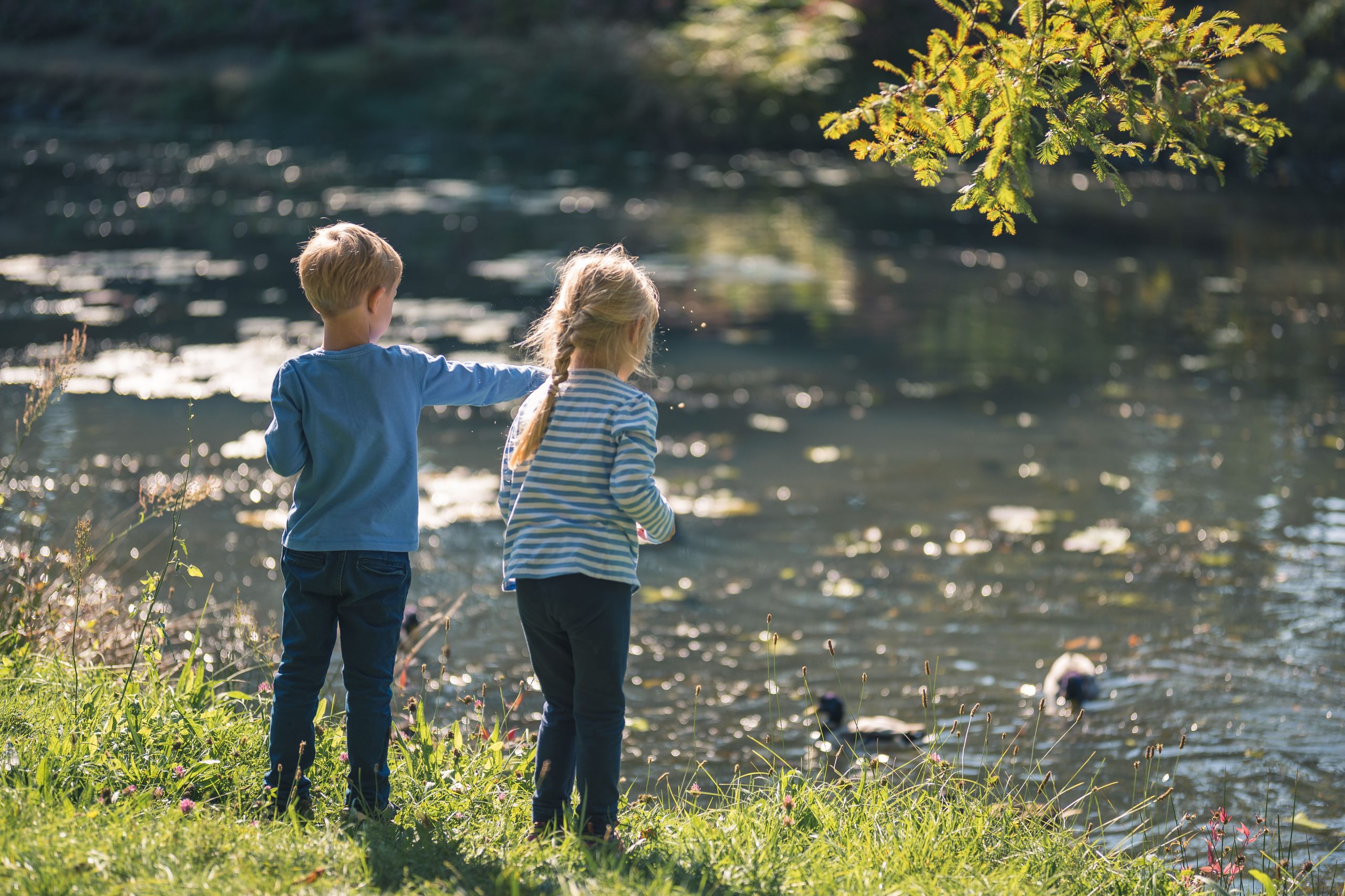 kids playing at lake in reading