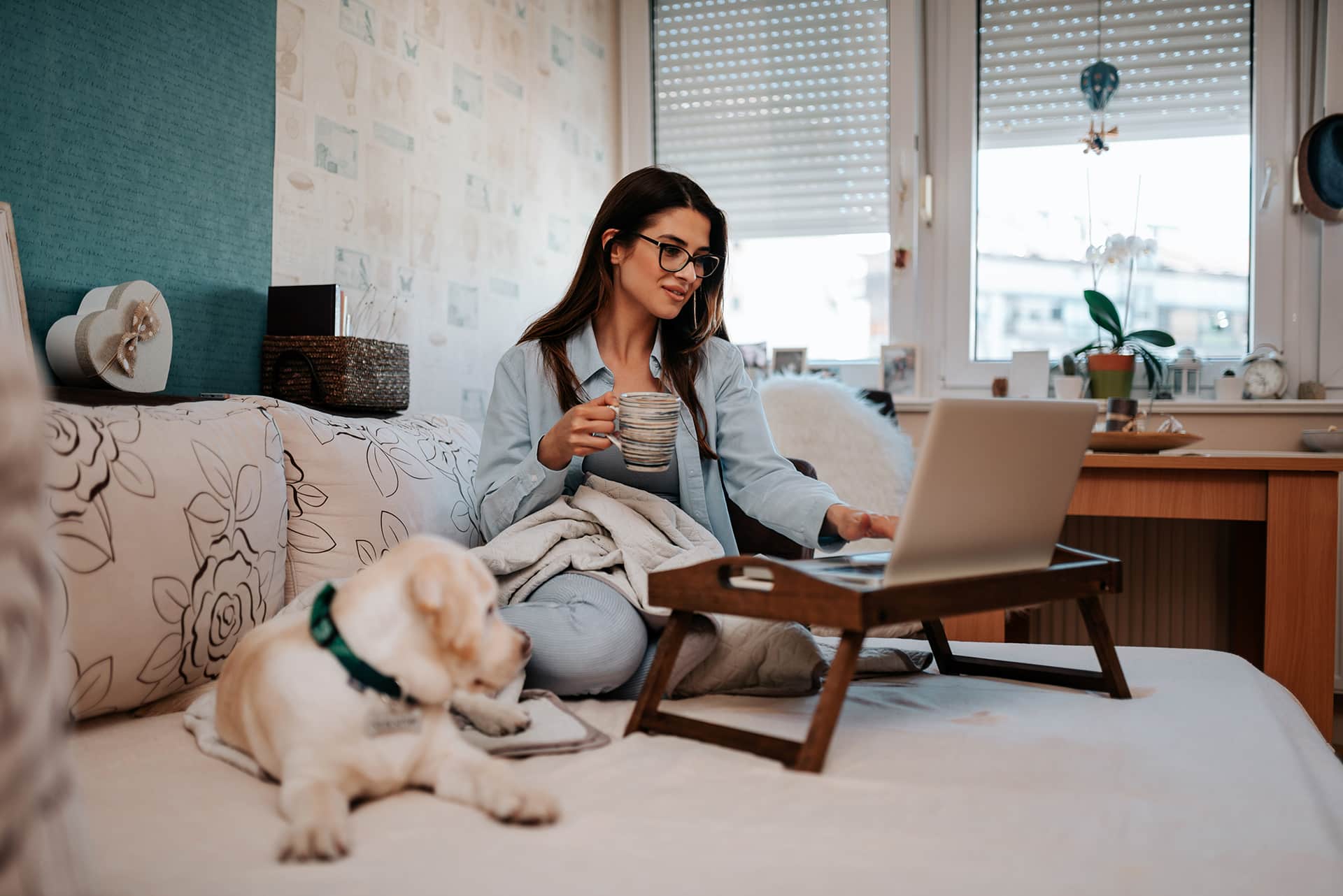 8 steps to renting a property Thumbnail