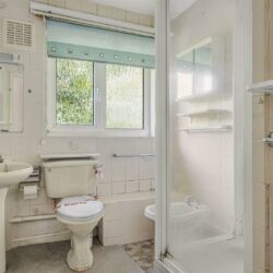 Thumbnail Image 6